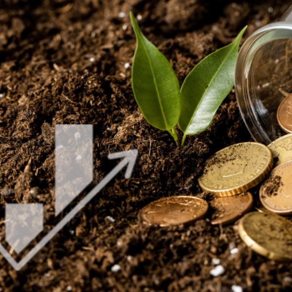 AGRICULTURE_BUSINESS_DEVELOPMENT_SERVICES_Figo_marketing_solutions_uganda_ltd_website_concepts (4)